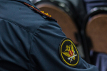 Арестованная за убийство мальчика девушка издевалась над кошками