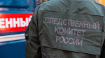 Жительница Сахалина похитила ребенка, чтобы "проучить" его родителей