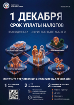 Что такое налоговое уведомление и как его исполнить